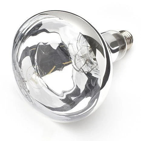 250W Shatterproof Infrared Heat Lamp ES